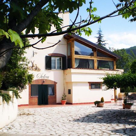 Agriturismo La Selva 列蒂 外观 照片